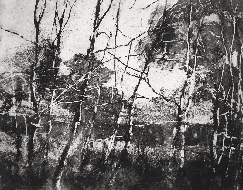 Birches. Etching.