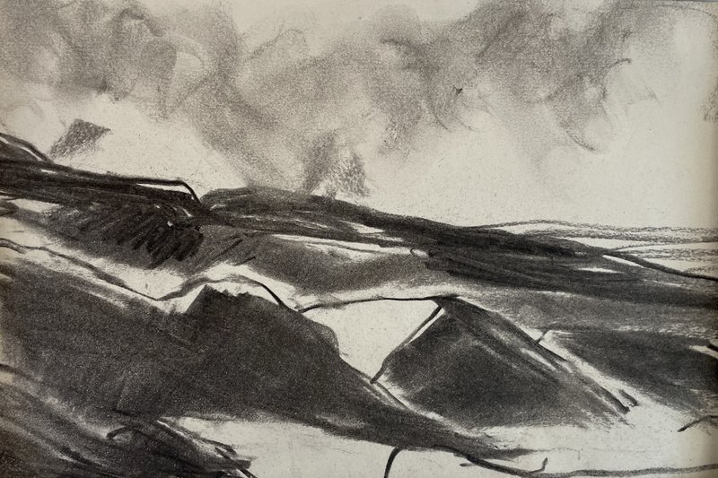 Coldberry Tips. Charcoal on paper 14x21cm